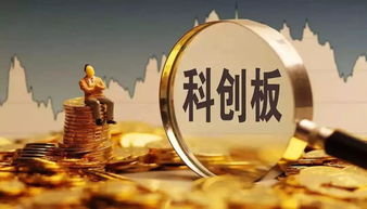 科創(chuàng)板受理企業(yè)增至62家，互聯(lián)網(wǎng)銷售領(lǐng)域迎來馬云、雷軍、王思聰?shù)韧顿Y大佬