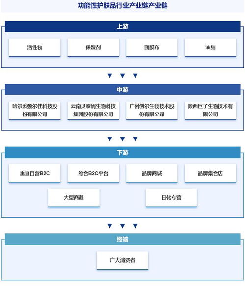 中國功能性護膚品行業(yè)分析 政策、市場集中度、競爭格局與發(fā)展趨勢預測